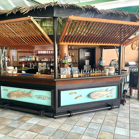 La Ruche De Maia - Blue Dream Beach - Piscine - Jardin - Plage Grand-Bourg  المظهر الخارجي الصورة