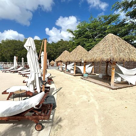 La Ruche De Maia - Blue Dream Beach - Piscine - Jardin - Plage Grand-Bourg  المظهر الخارجي الصورة