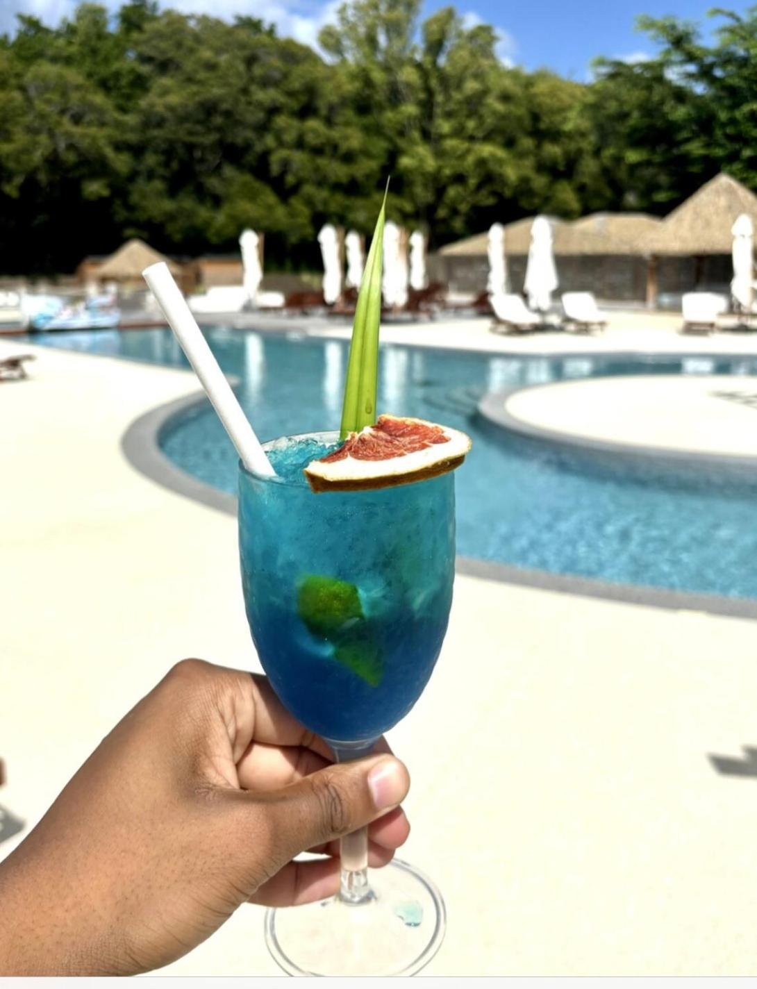 La Ruche De Maia - Blue Dream Beach - Piscine - Jardin - Plage Grand-Bourg  المظهر الخارجي الصورة