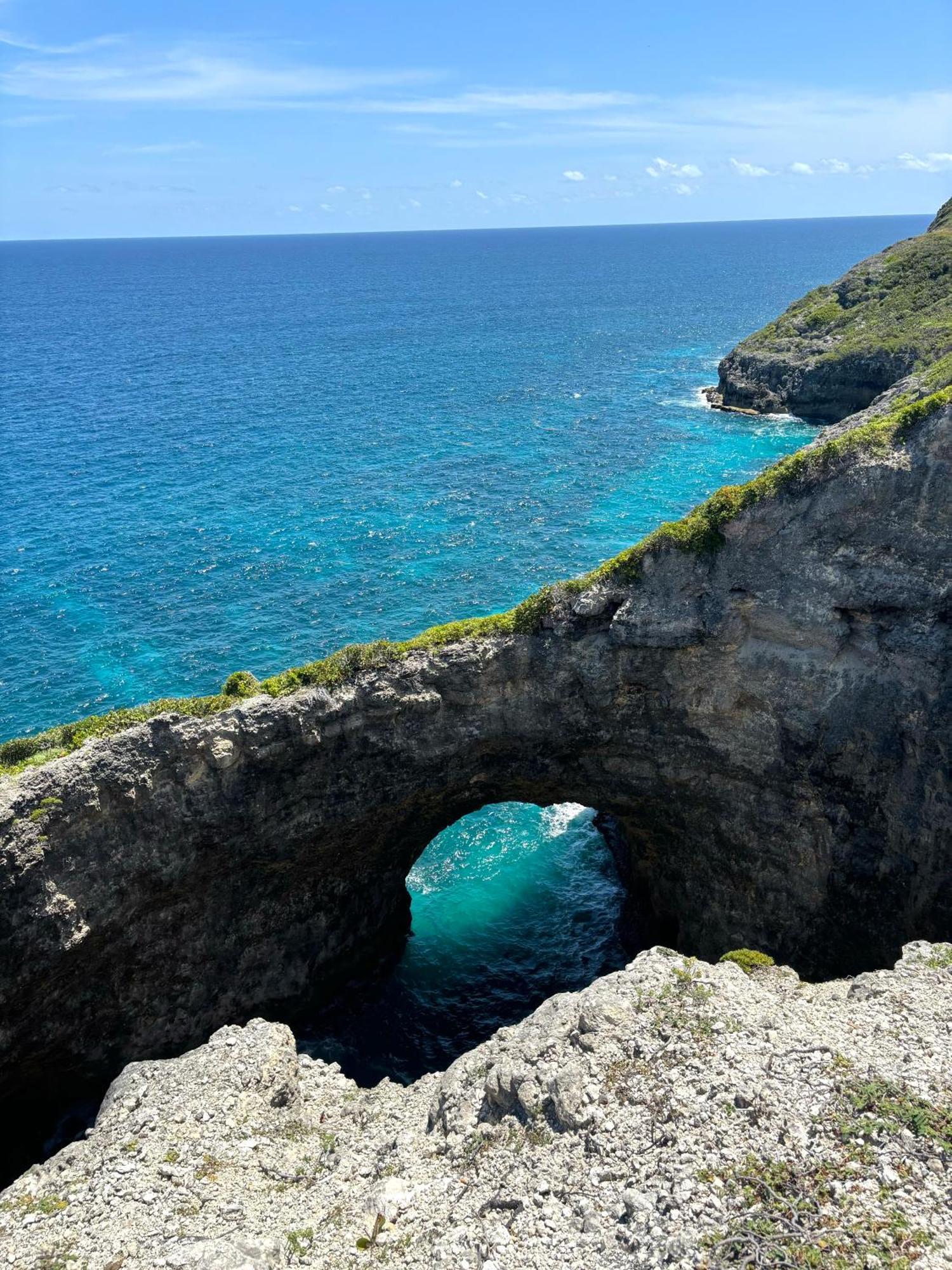 La Ruche De Maia - Blue Dream Beach - Piscine - Jardin - Plage Grand-Bourg  المظهر الخارجي الصورة