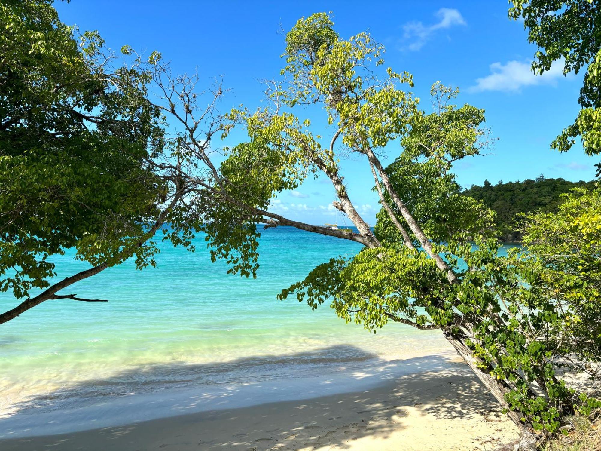 La Ruche De Maia - Blue Dream Beach - Piscine - Jardin - Plage Grand-Bourg  المظهر الخارجي الصورة