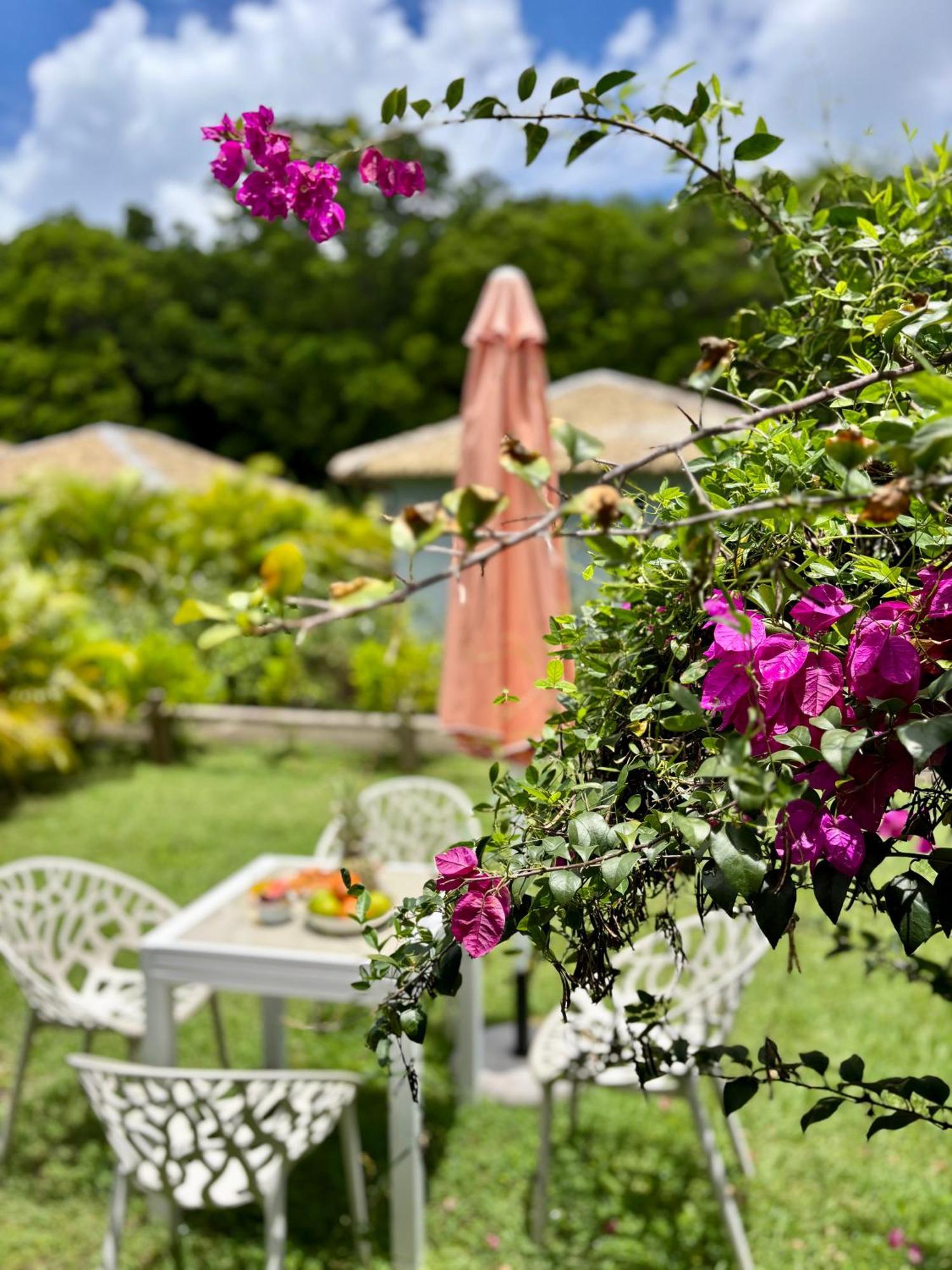 La Ruche De Maia - Blue Dream Beach - Piscine - Jardin - Plage Grand-Bourg  المظهر الخارجي الصورة
